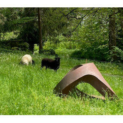 halbes Lamm 19. November